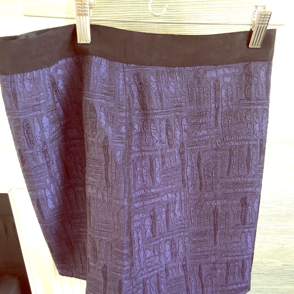 Banana Republic Navy Blue Mini Skirt